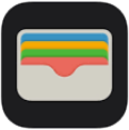 Apple Pay icon