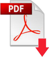 pdf icon